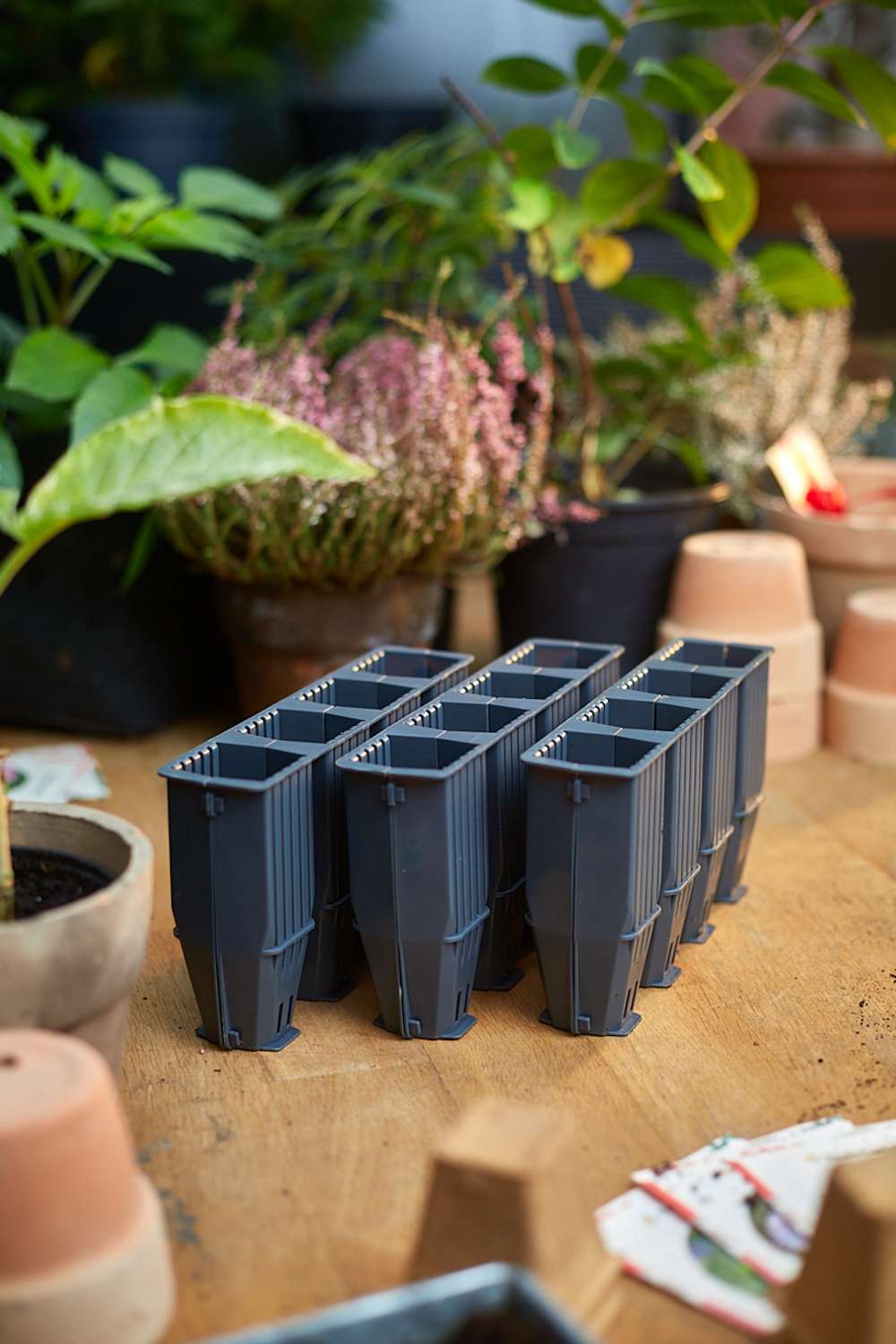 Forspiringsbakke, 28 dybe celler